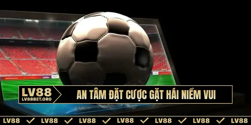 An tâm đặt cược gặt hái niềm vui