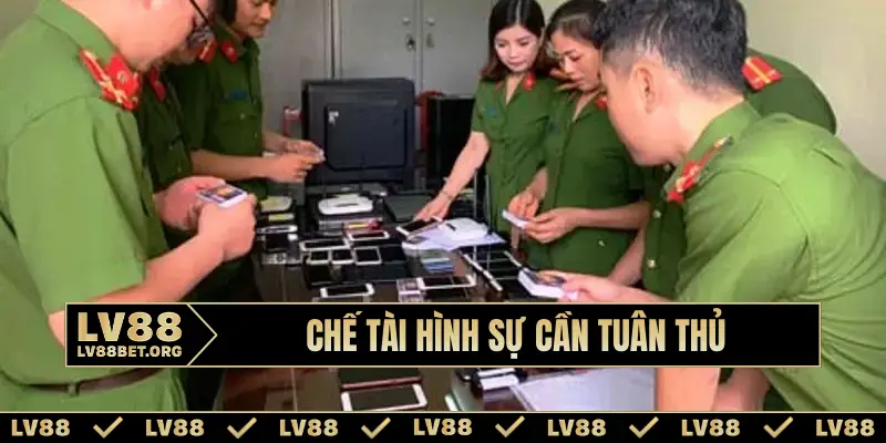 Chế tài hình sự cần tuân thủ