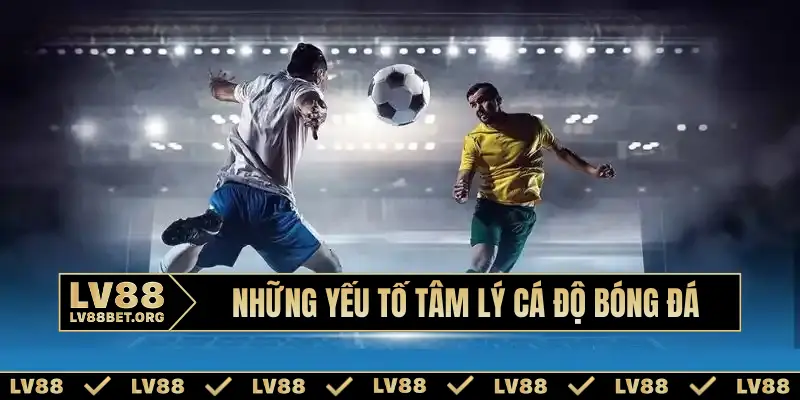 Tâm lý cá độ bóng đá